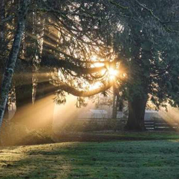 نورشناسی در عکاسی