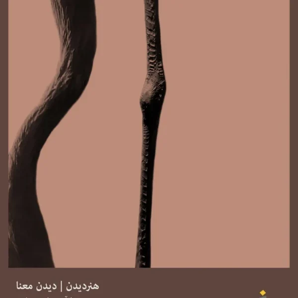 هنر دیدن | جلد پنجم | دیدن معنا