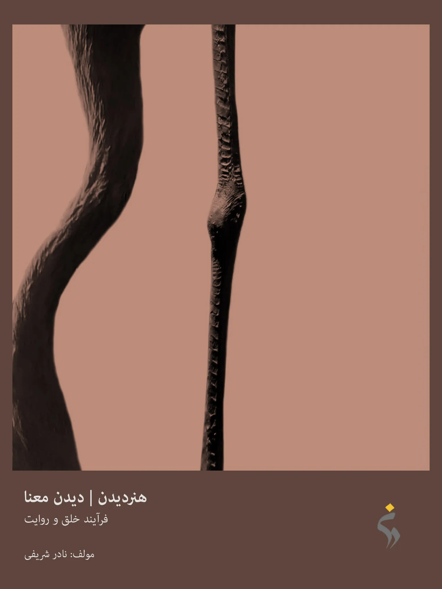 هنر دیدن | جلد پنجم | دیدن معنا