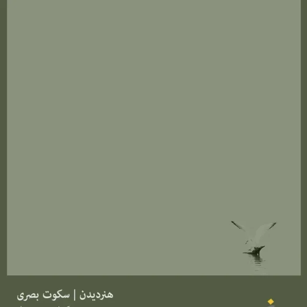 هنر دیدن | جلد سوم | سکوت بصری